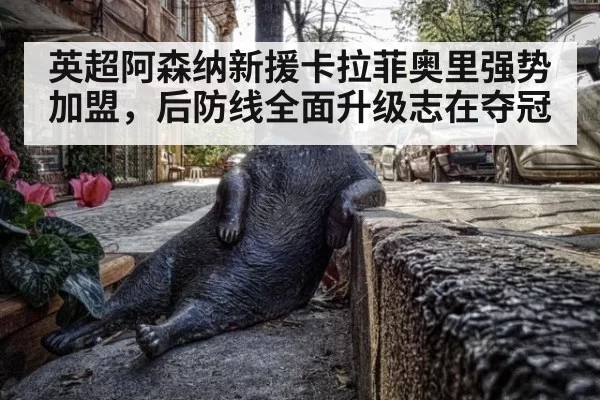 英超阿森纳新援卡拉菲奥里强势加盟,后防线全面升级志在夺冠