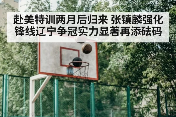赴美特训两月后归来 张镇麟强化锋线辽宁争冠实力显著再添砝码