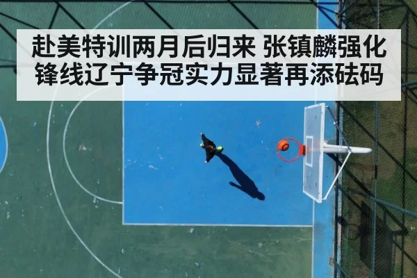 basketball player court
