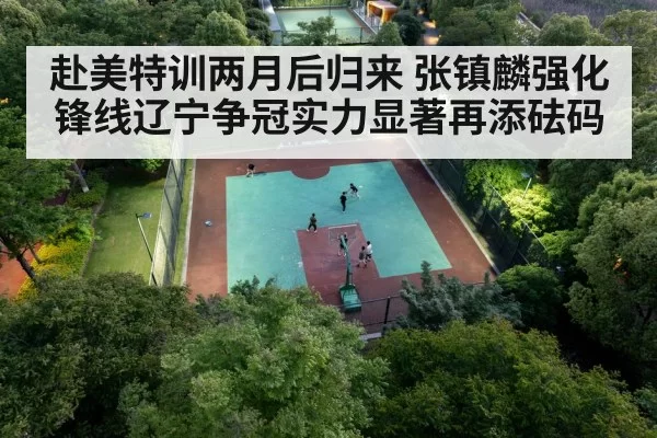 chinese basketball team