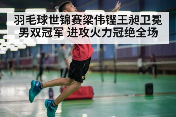 羽毛球世锦赛梁伟铿王昶卫冕男双冠军 进攻火力冠绝全场